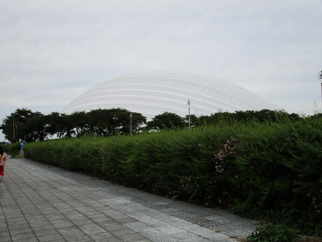 �j�v���n�`���h�[��