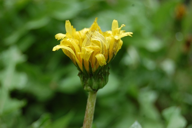 �G�]�^���|�|