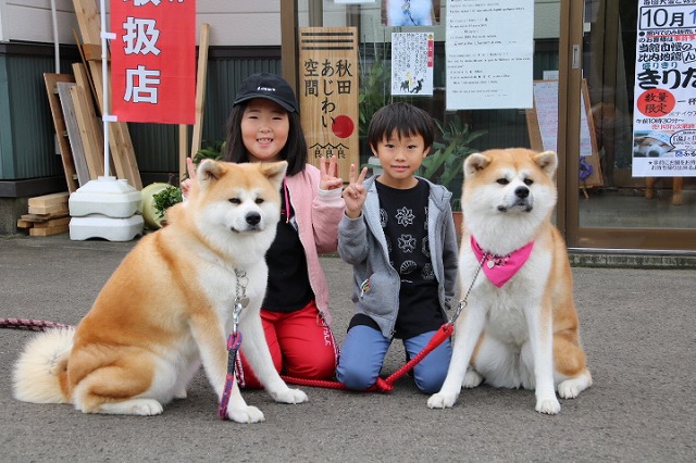 �ӂ邳�퉷��